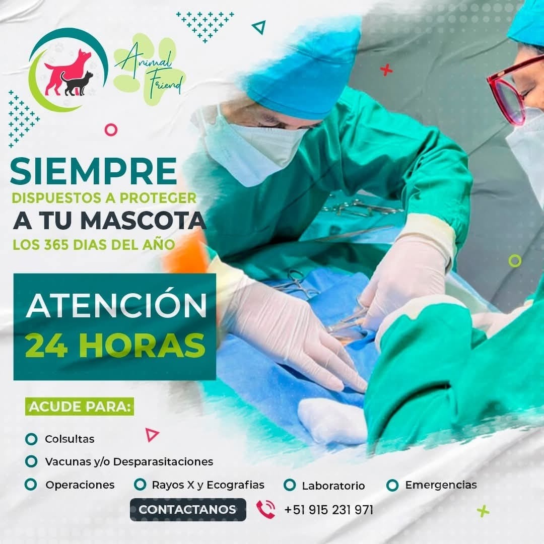 Veterinaria con animales
